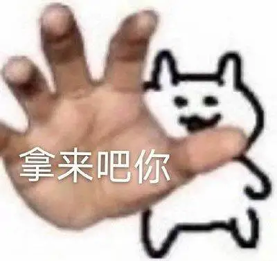 新人报道,宠物