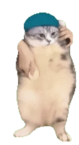 动图,GIF,meme