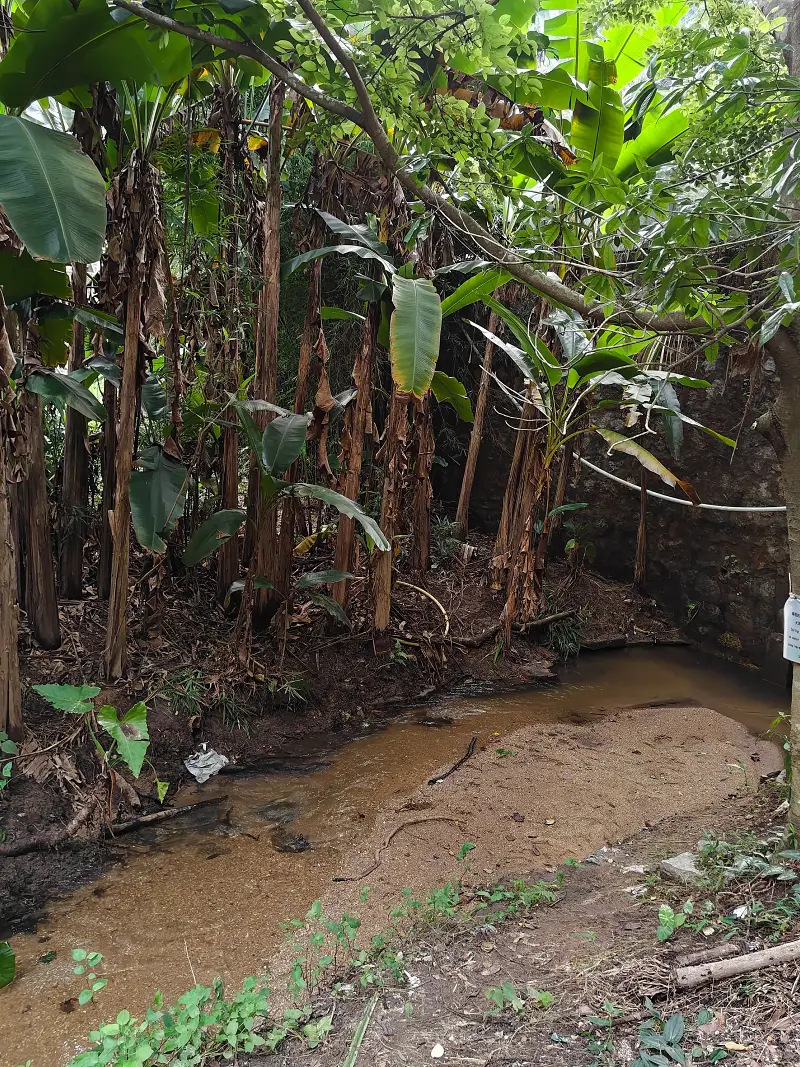 登山,阳台山,羊台叠翠
