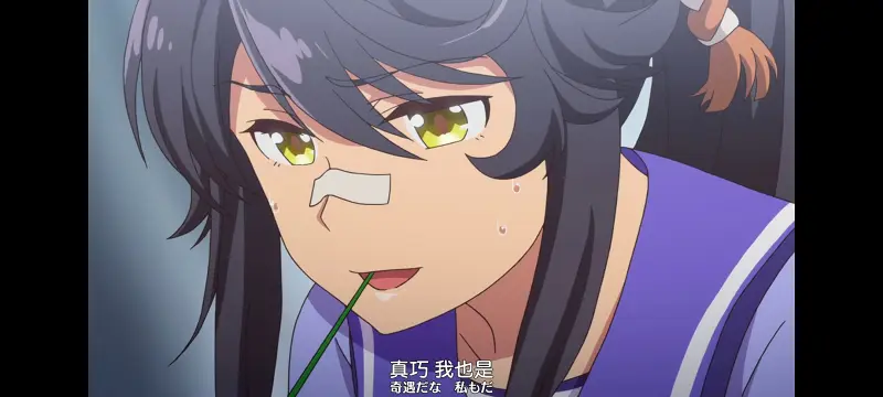 赛马娘,赛马娘PrettyDreby,动画,动漫,番剧,ACG