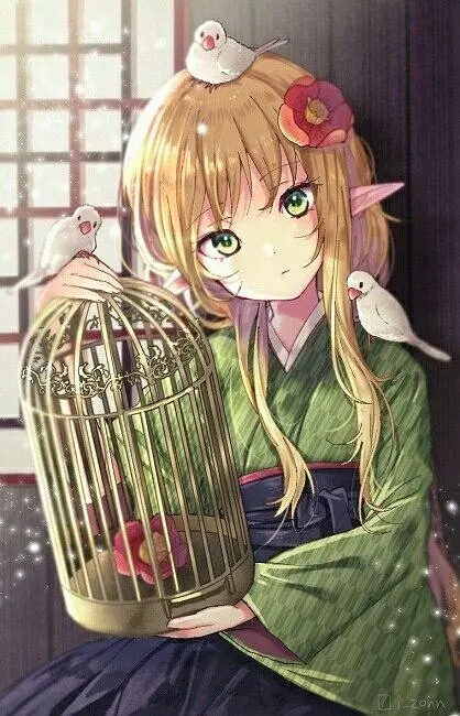 M站美图,PIXIV