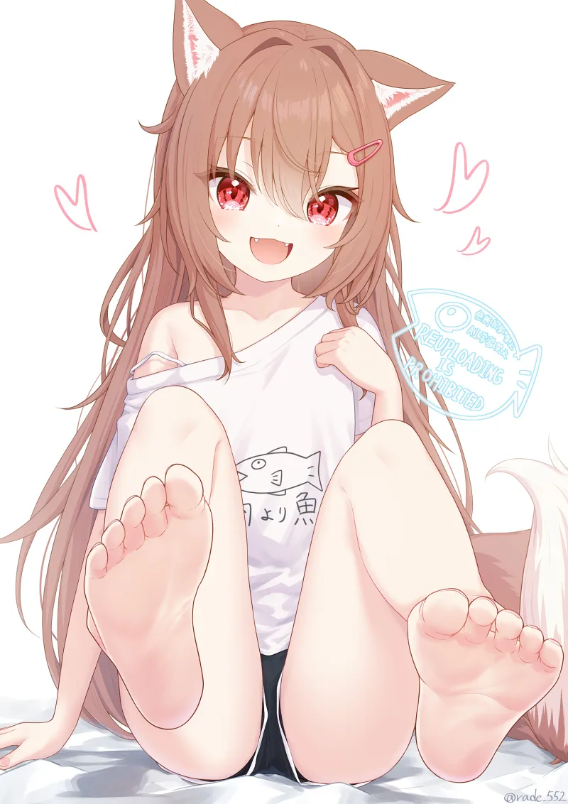 每日喵