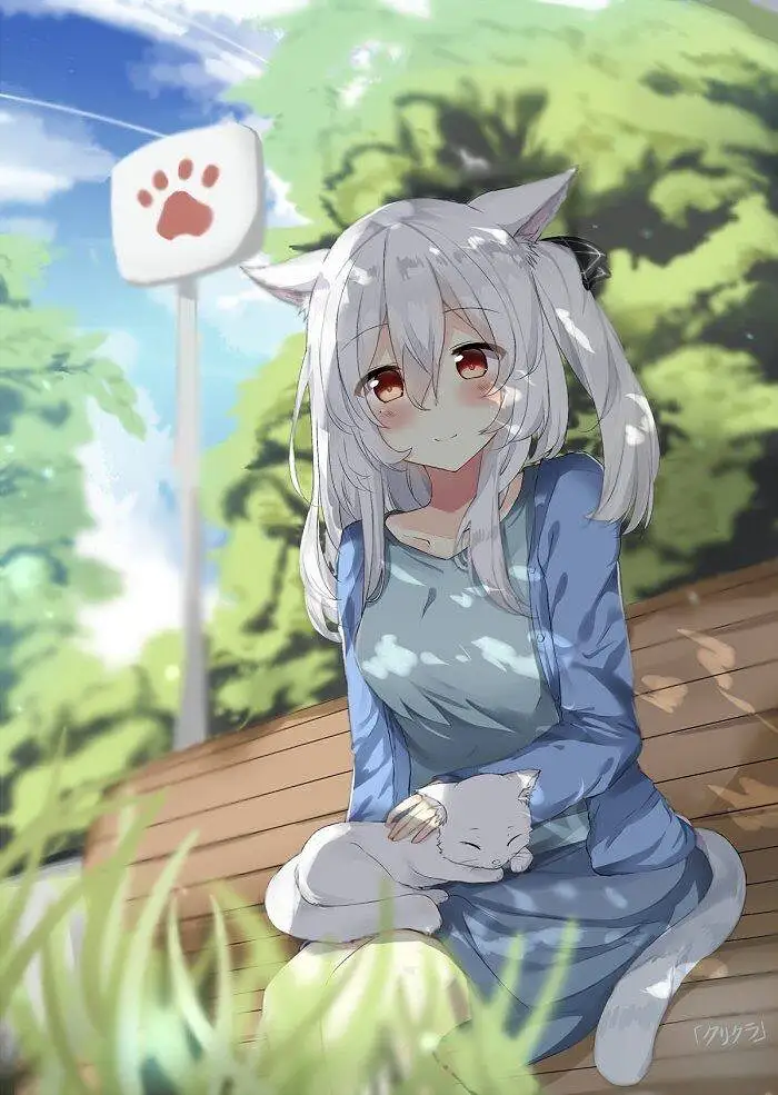 新人报道,M站拜年祭