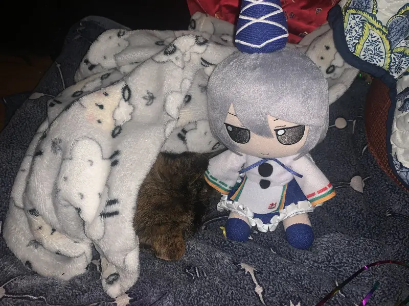 东方project,fumo