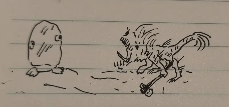 鱼
