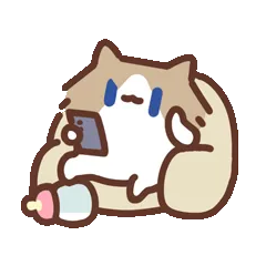 表情包,月薪喵,猫咪表情包,猫meme,哈基米