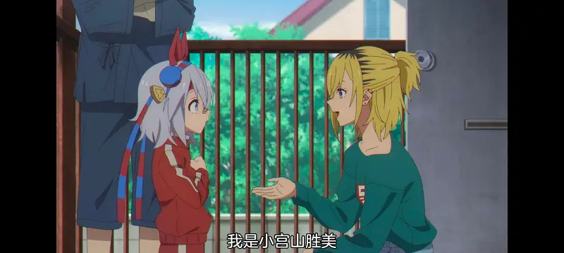 赛马娘,赛马娘PrettyDreby,芦毛灰姑娘,赛马娘芦毛灰姑娘,动画,动漫,番剧,ACG