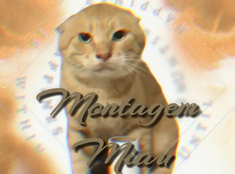 【完整版】哈基米：Montagem Miau🐱