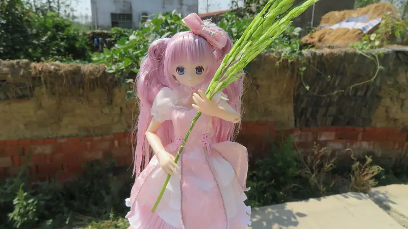 摄影