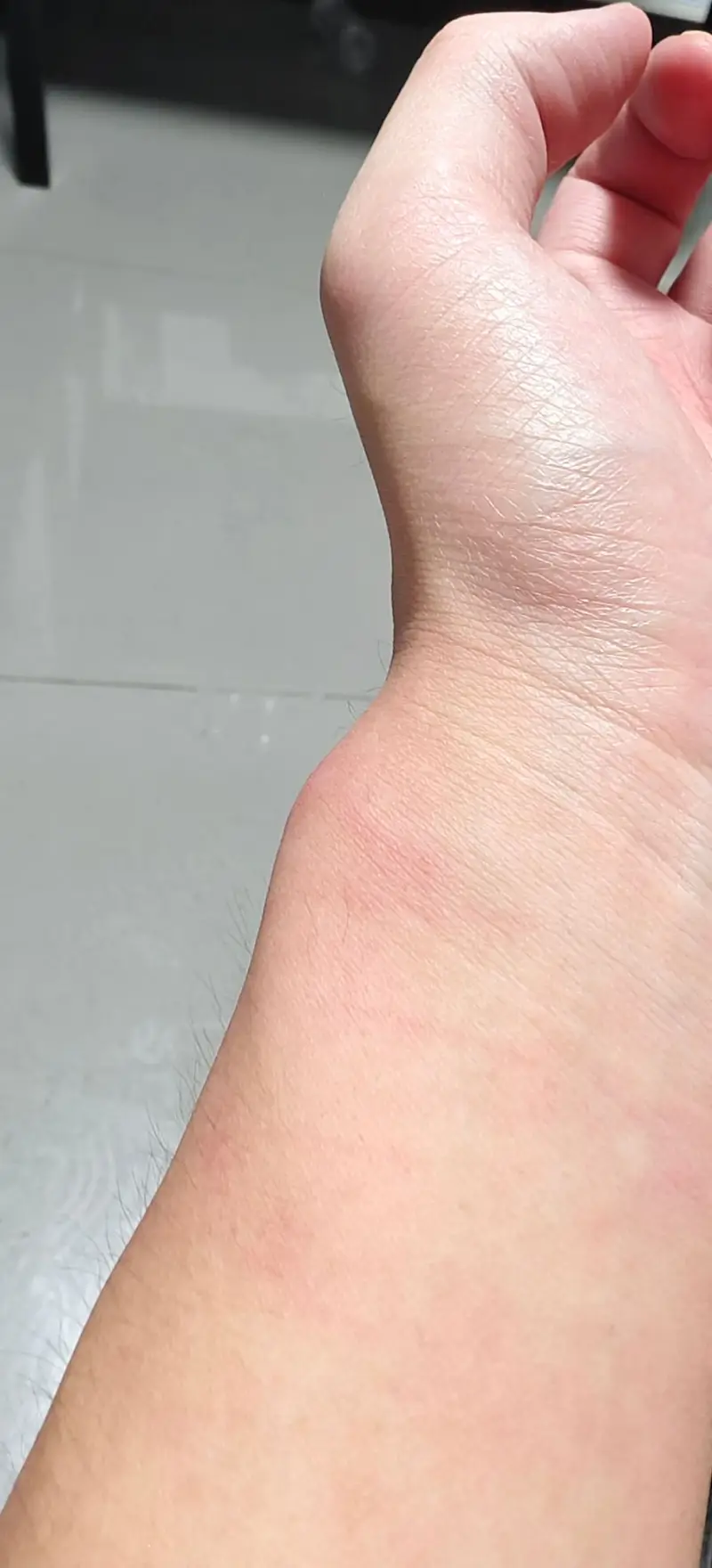 喵隐的五一,请勿模仿