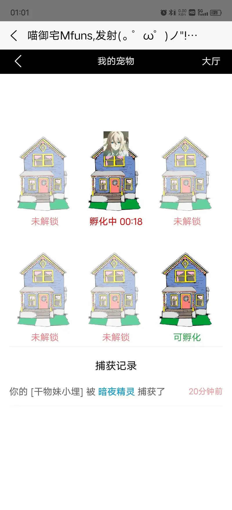 闲聊茶馆,孵蛋