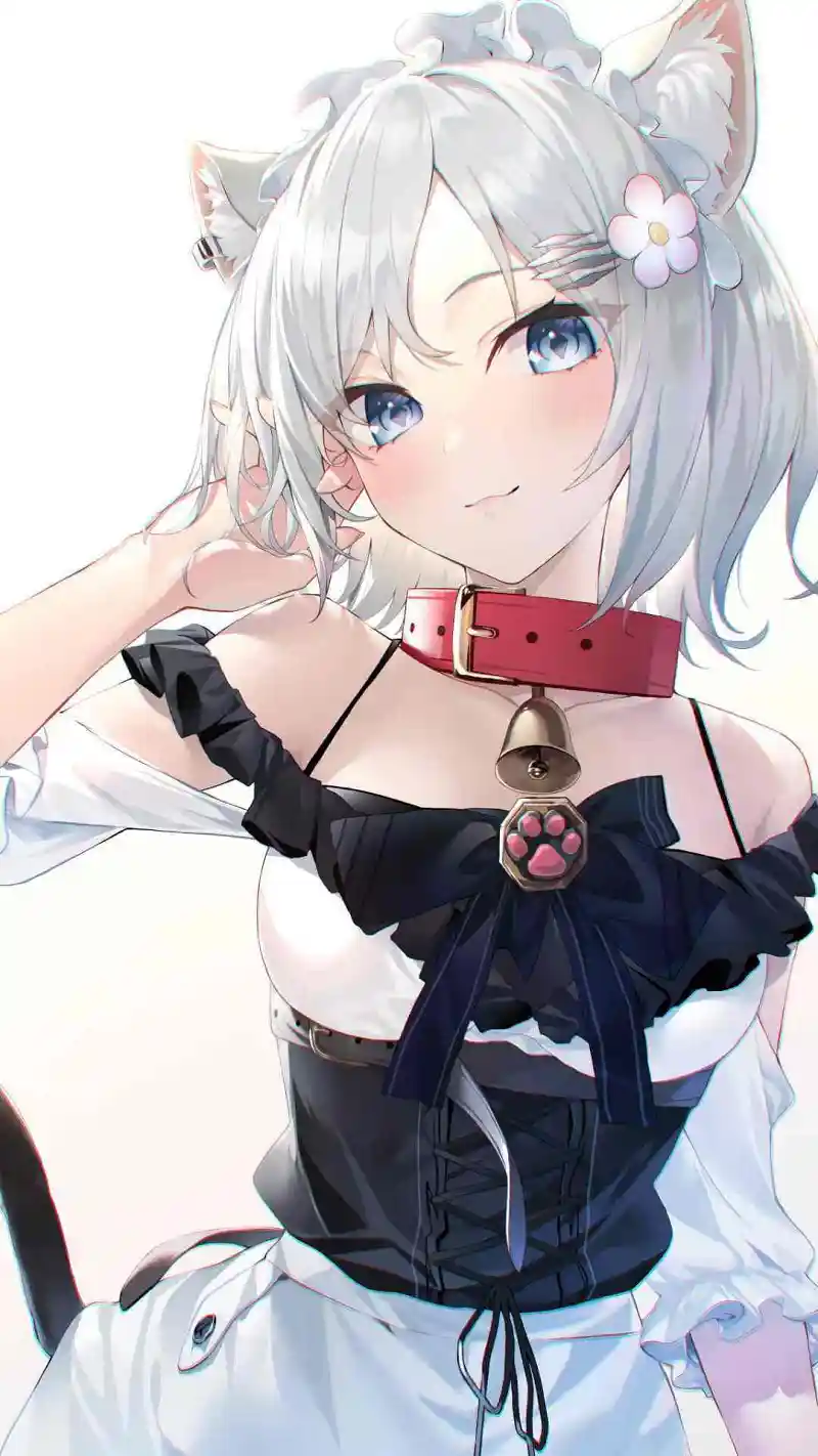 M站美图,壁纸