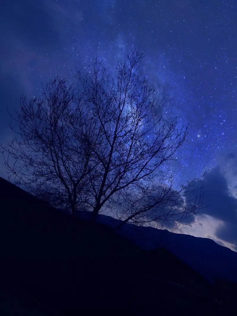 闲聊茶馆,壁纸,星空