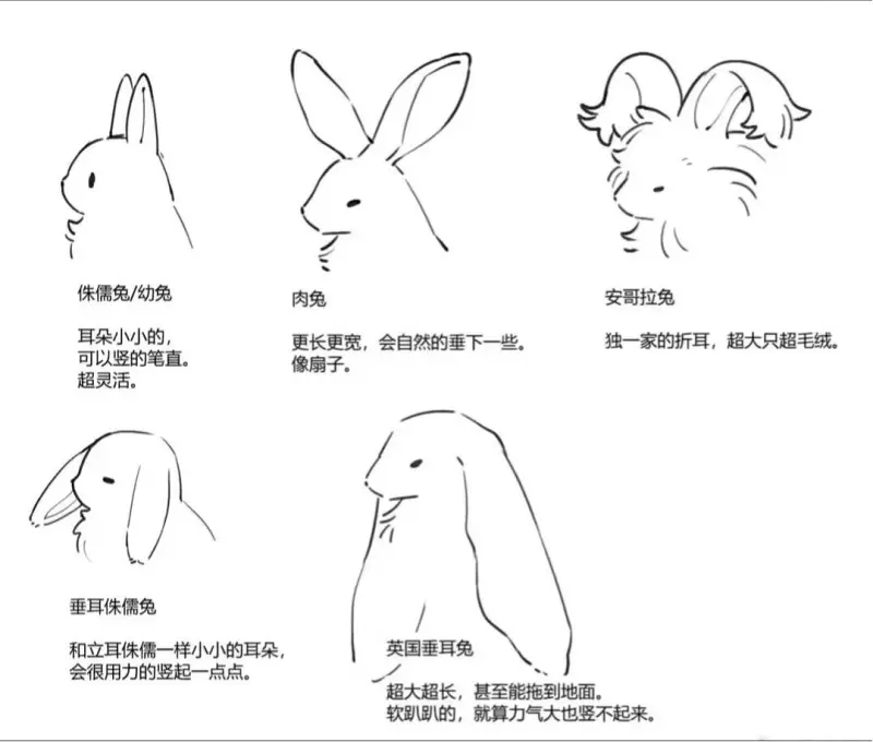 东方project,铃仙,泠仙,铃仙二号,因幡帝,清兰,铃瑚,八意永琳,梗图