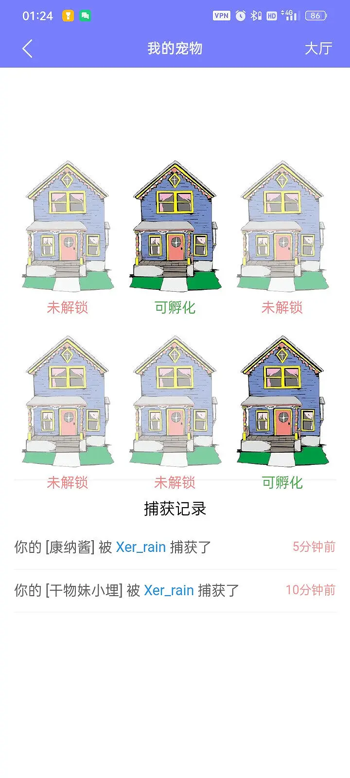 宠物