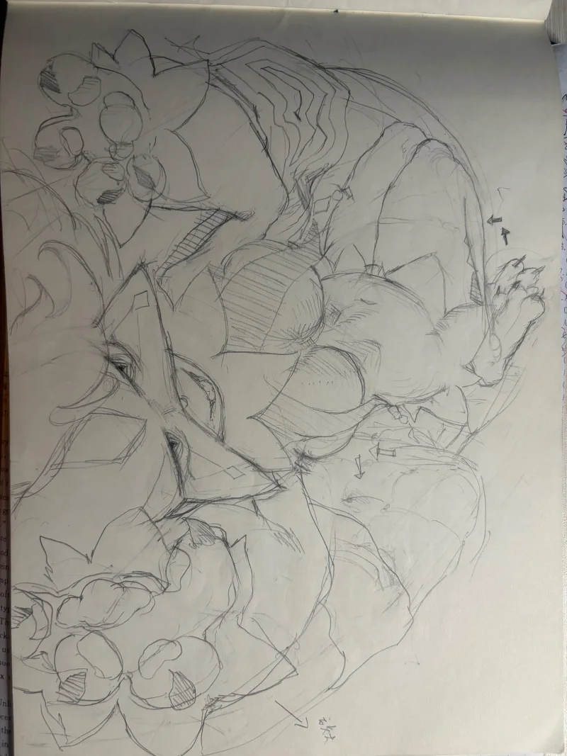 画
