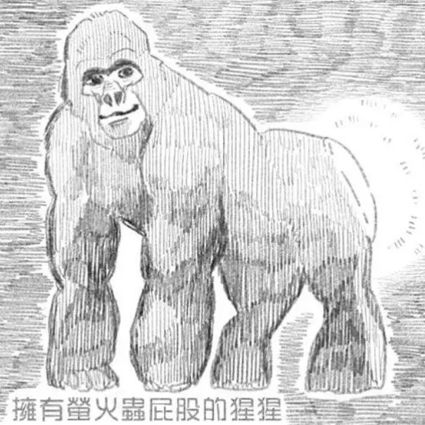 一篇特立独行的文章