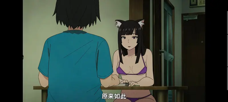 尼古喵喵,雅尼猫,动画,动漫,番剧,ACG,日漫,二次元