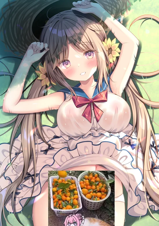 二次元,原创,二创,泳装,好康的