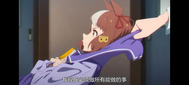 赛马娘,赛马娘芦毛灰姑娘,芦毛灰姑娘,动画,动漫,赛马娘PrettyDreby,番剧,ACG