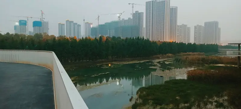 诗词,五言律诗,小小打油诗