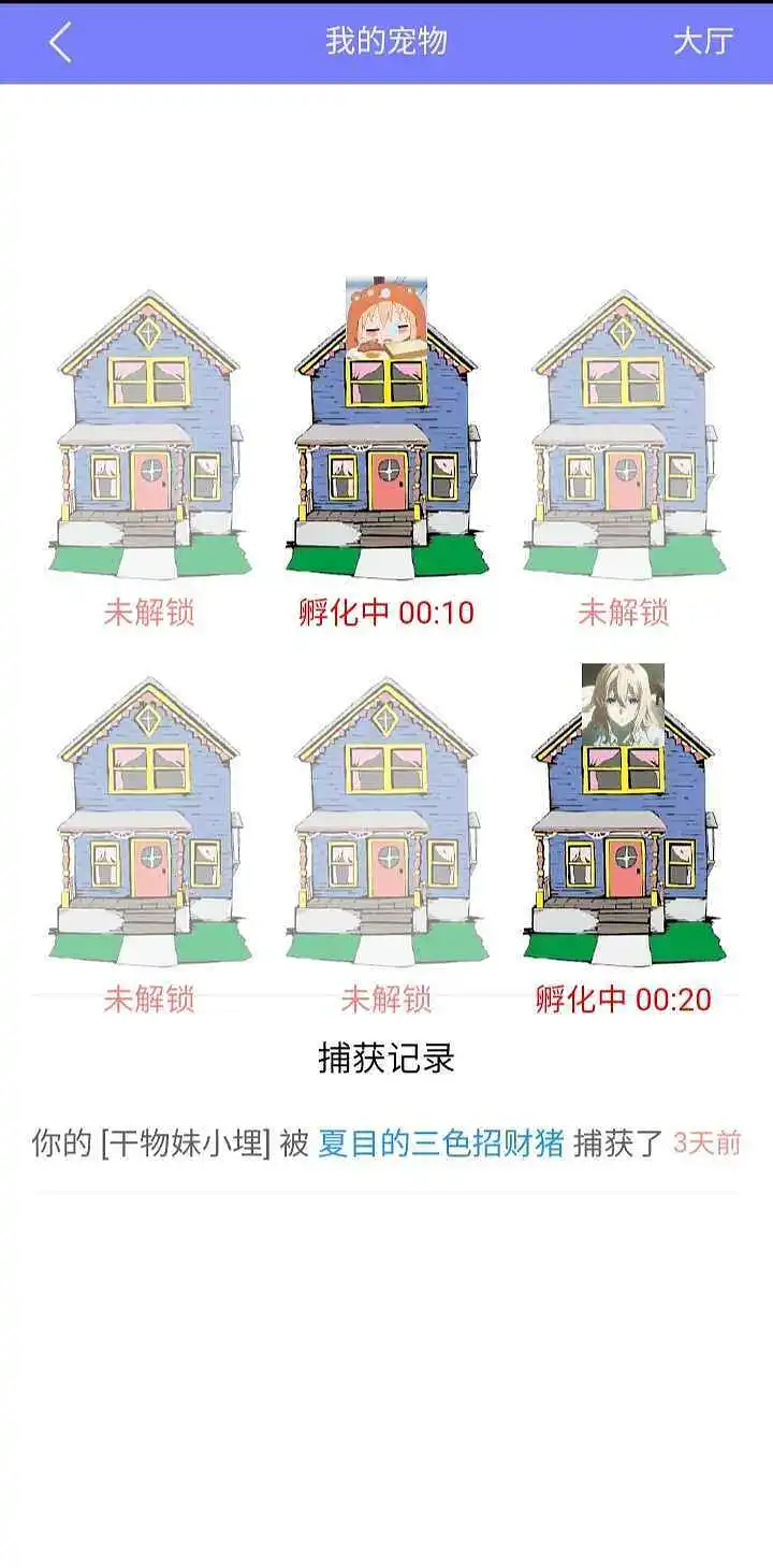 闲聊茶馆,宠物