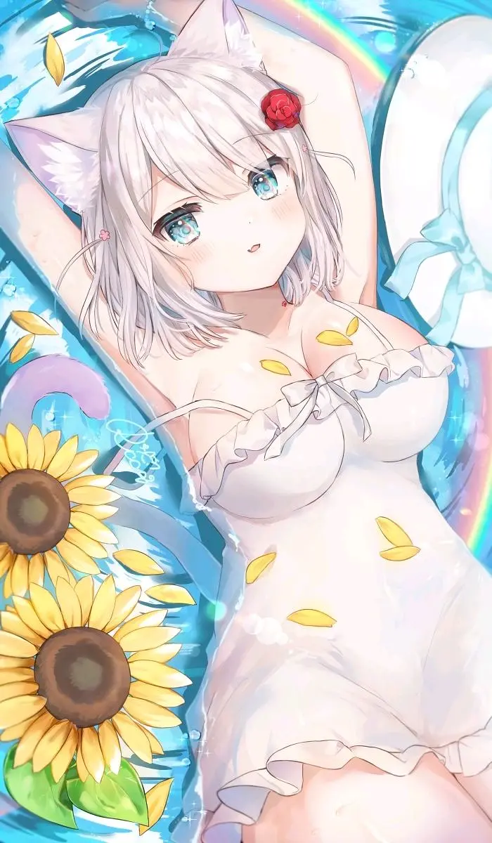 猫娘,涩图,二次元