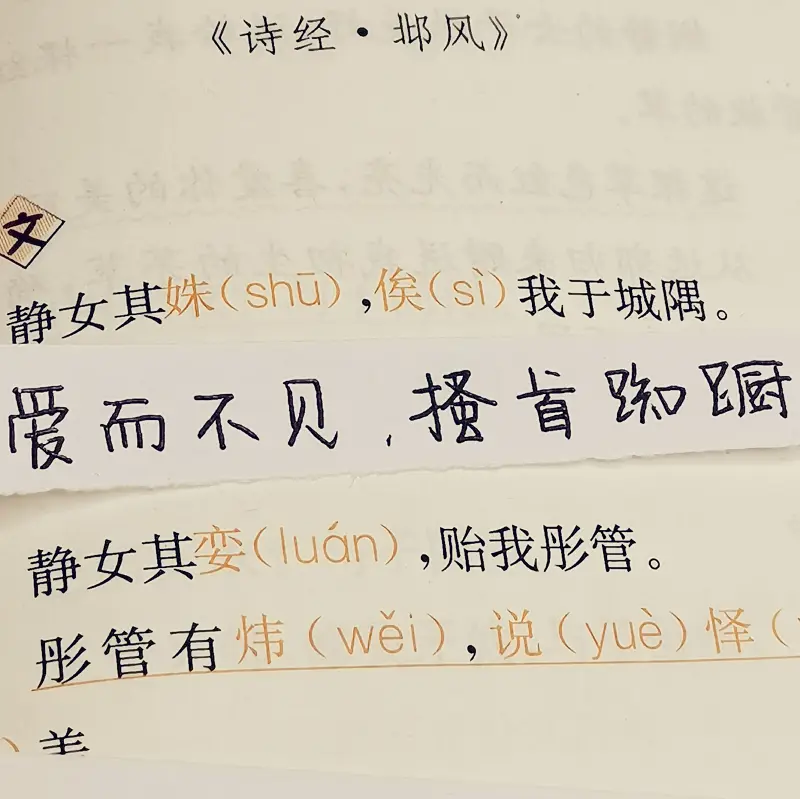 星辰社,手写,字,书法,练字,硬笔练字,硬笔