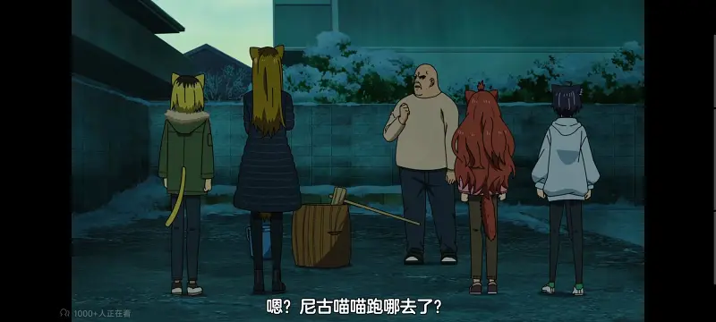尼古喵喵,雅尼猫,动画,动漫,番剧,日漫,二次元,ACG