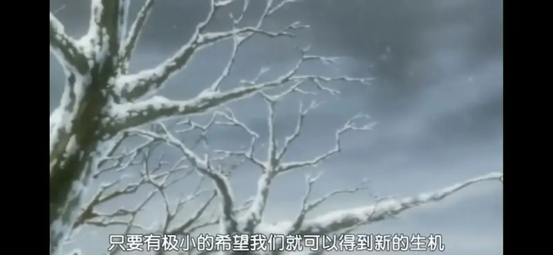 物怪,水树奈奈,川澄绫子,老番,动漫,感想