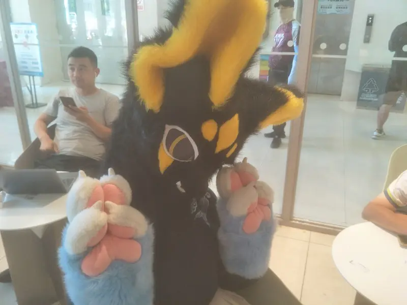 FURRY,福瑞,健康生活