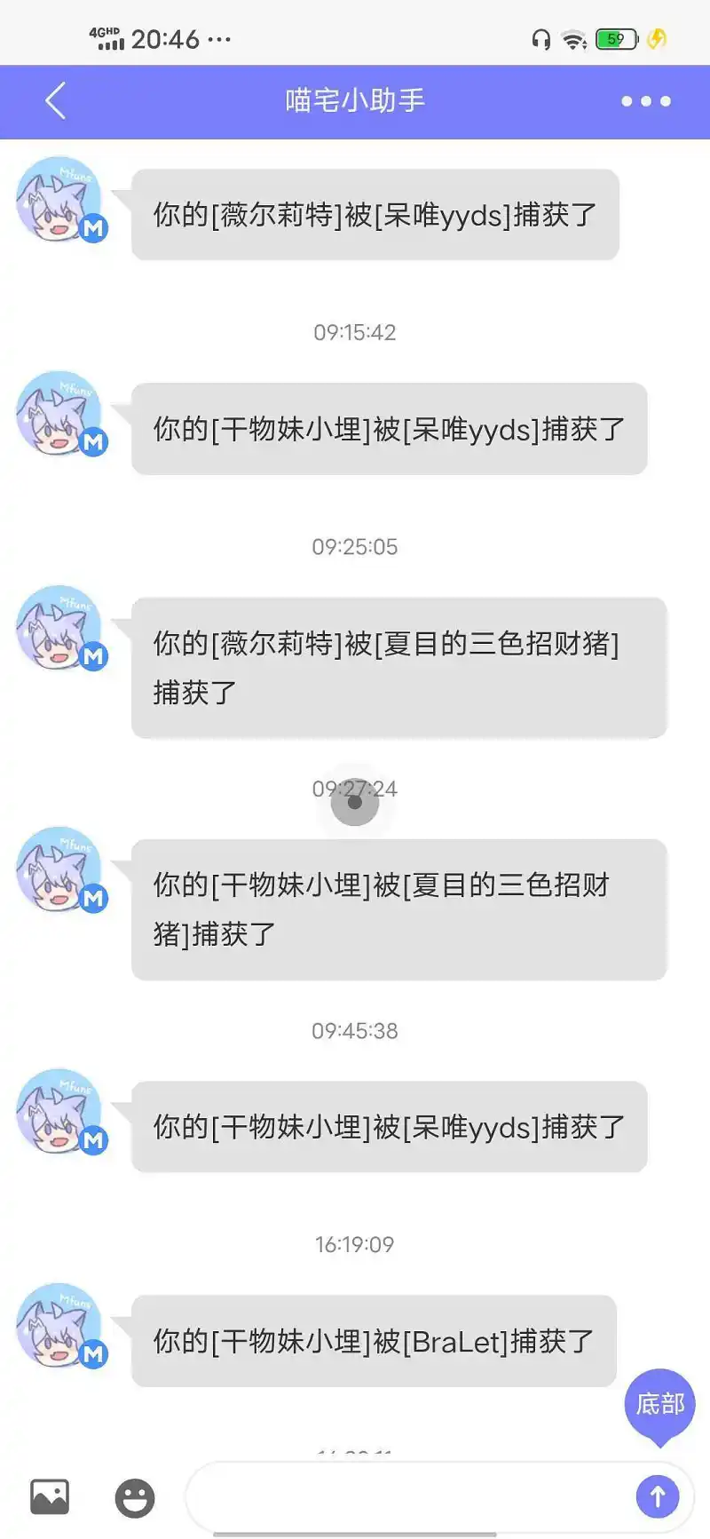 宠物