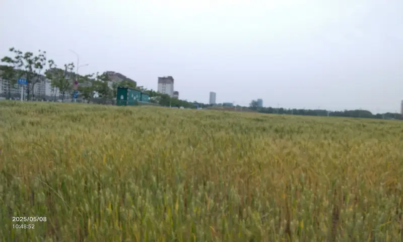 现在