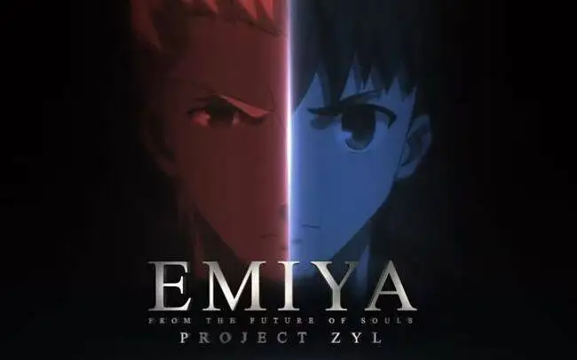 【ZYL】FATE-EMIYA