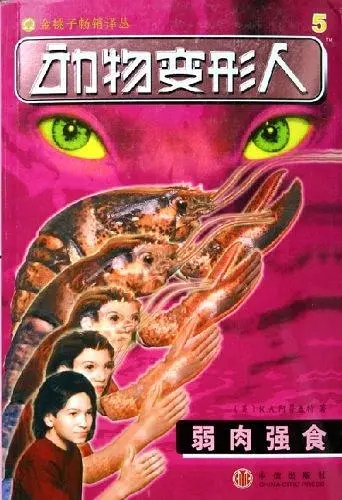 变形金刚,冷门