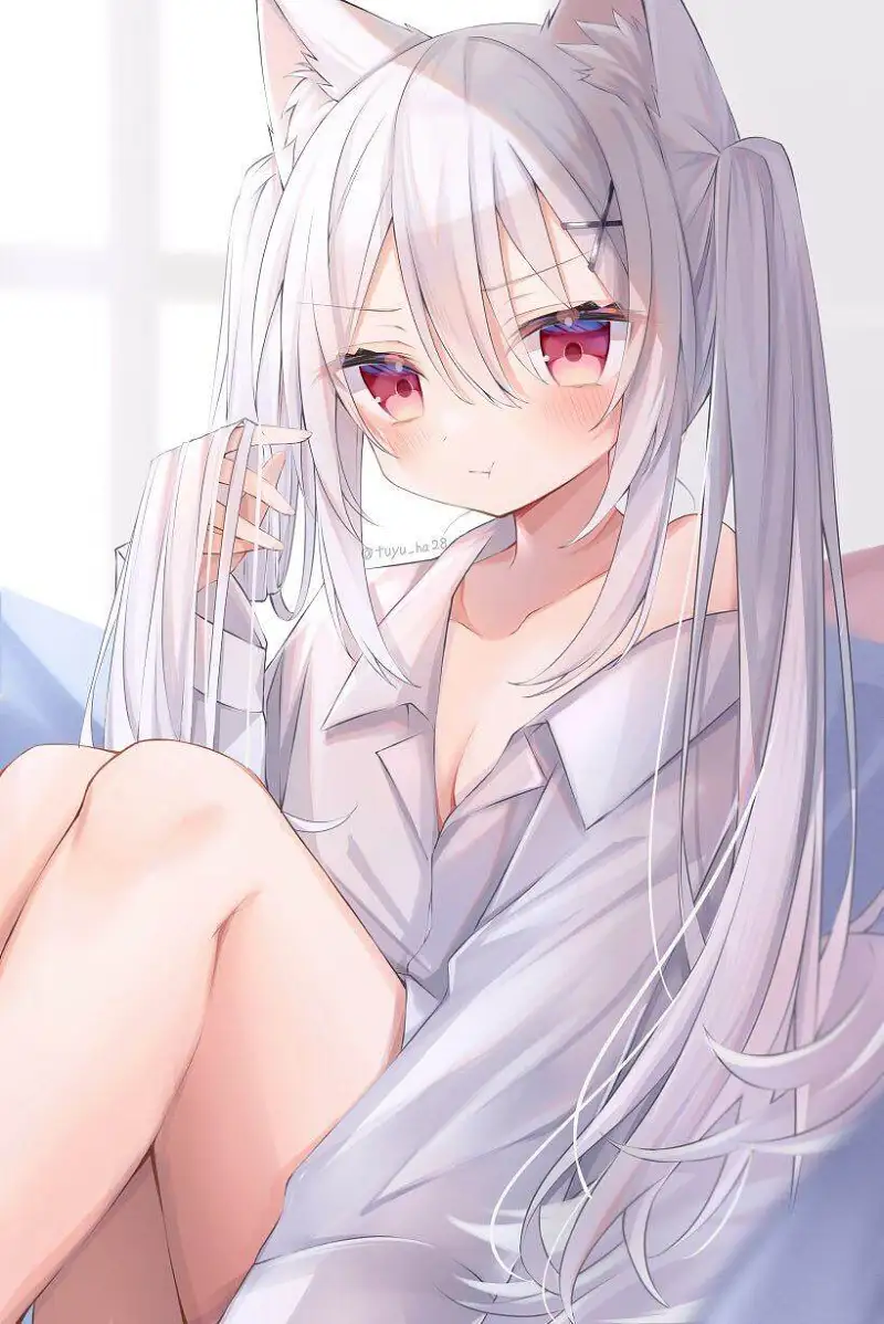 M站美图,美图,猫の日