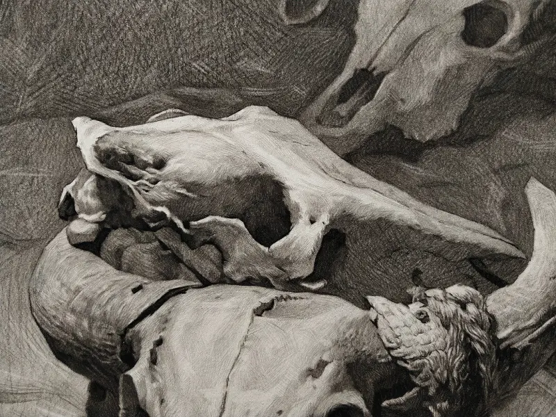 绘画创作,素描,绘画交流