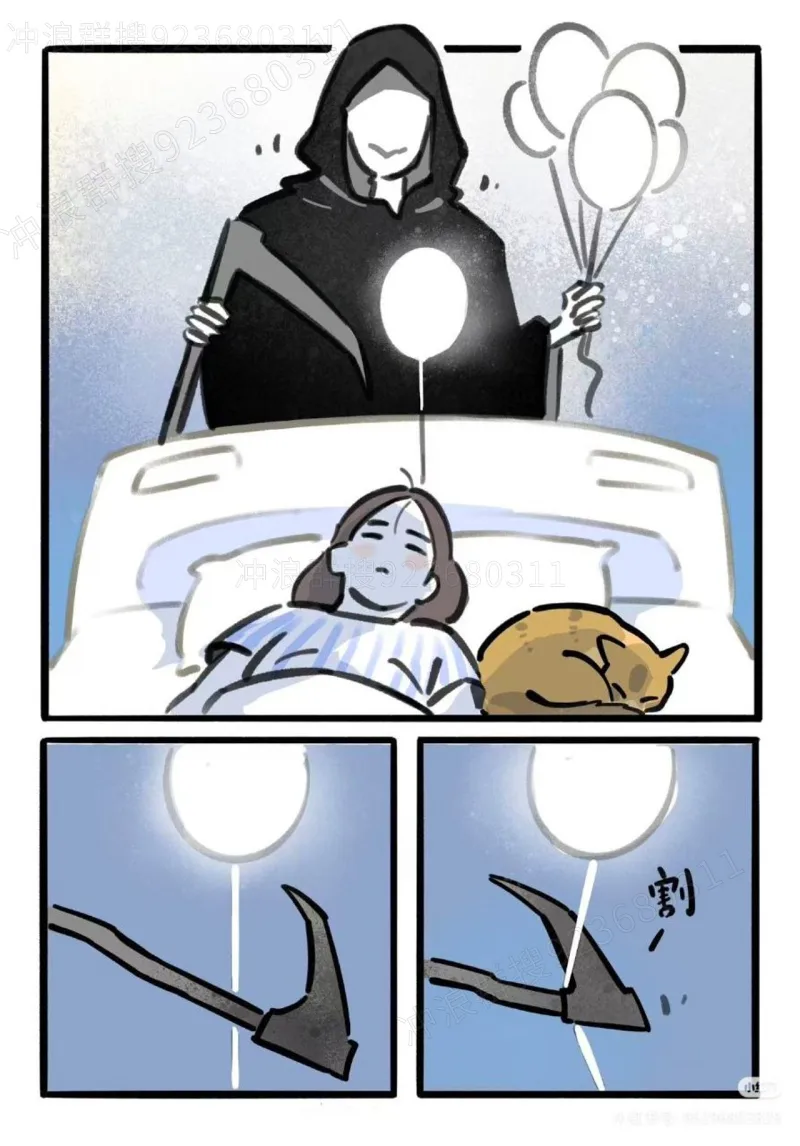 猫,故事