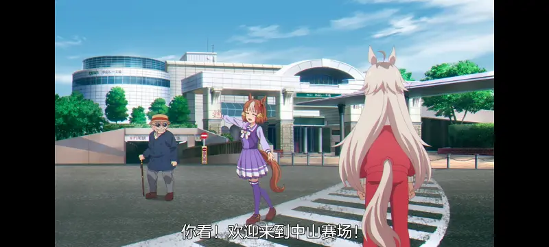 赛马娘,赛马娘芦毛灰姑娘,芦毛灰姑娘,动画,动漫,赛马娘PrettyDreby,番剧,ACG