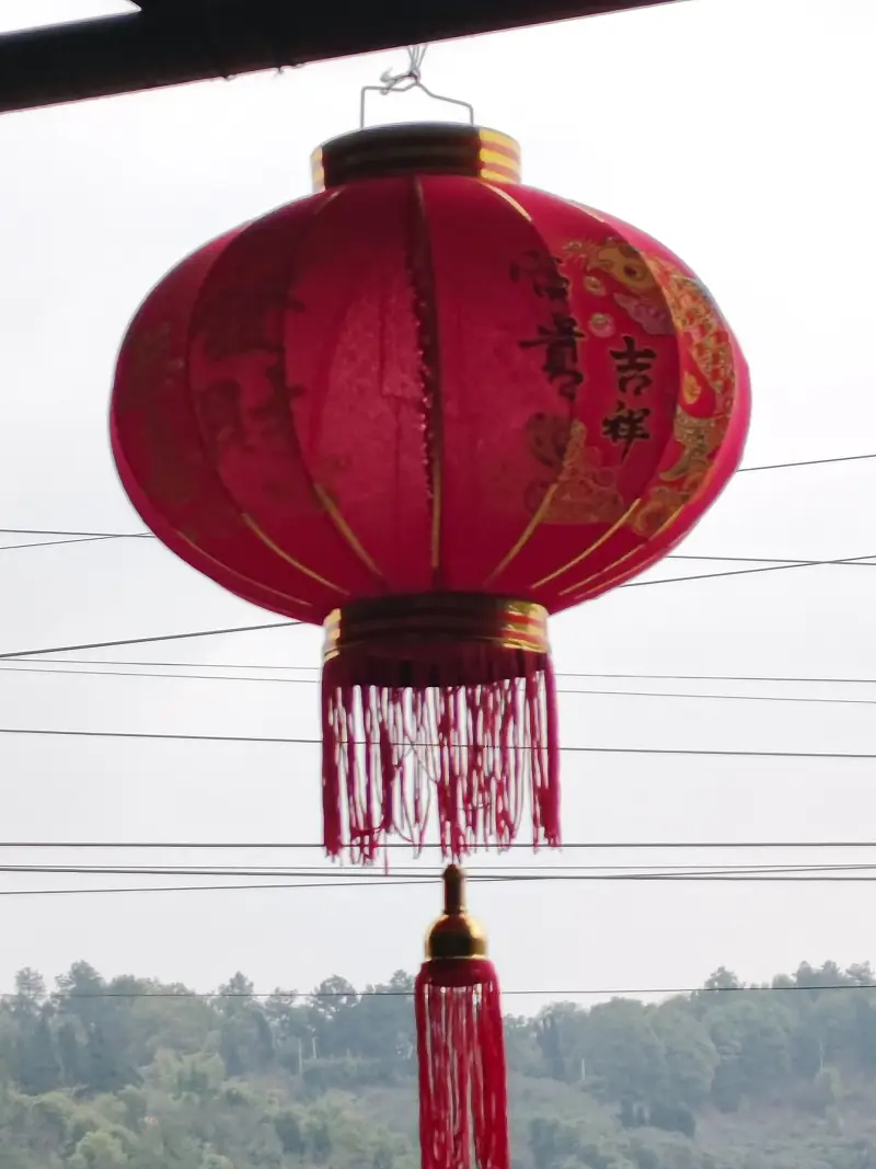 续上个动态