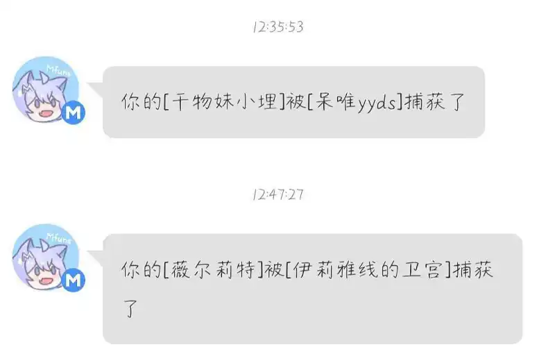 叕被偷了