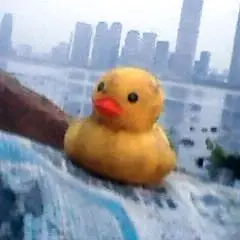 摄影