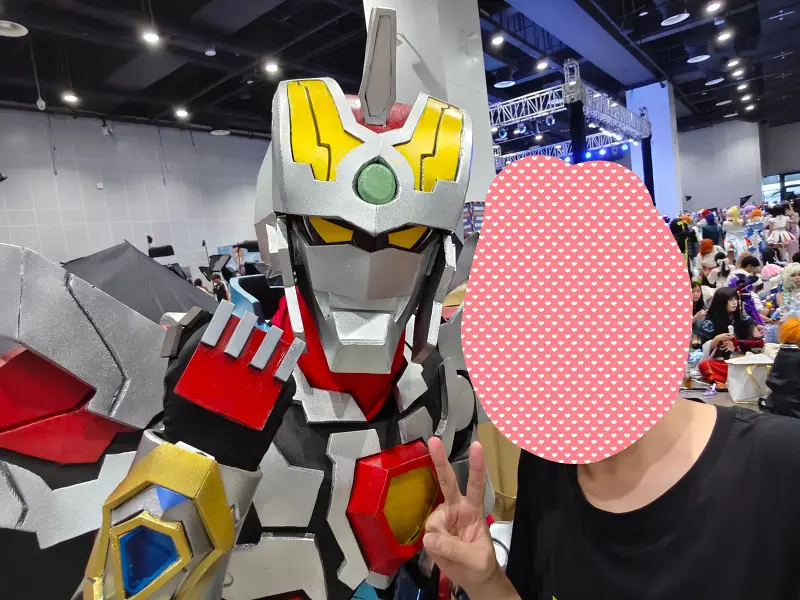 漫展,二次元,东方project,术力口,初音未来,镜音双子,特摄,奥特曼,Minecraft,痛车