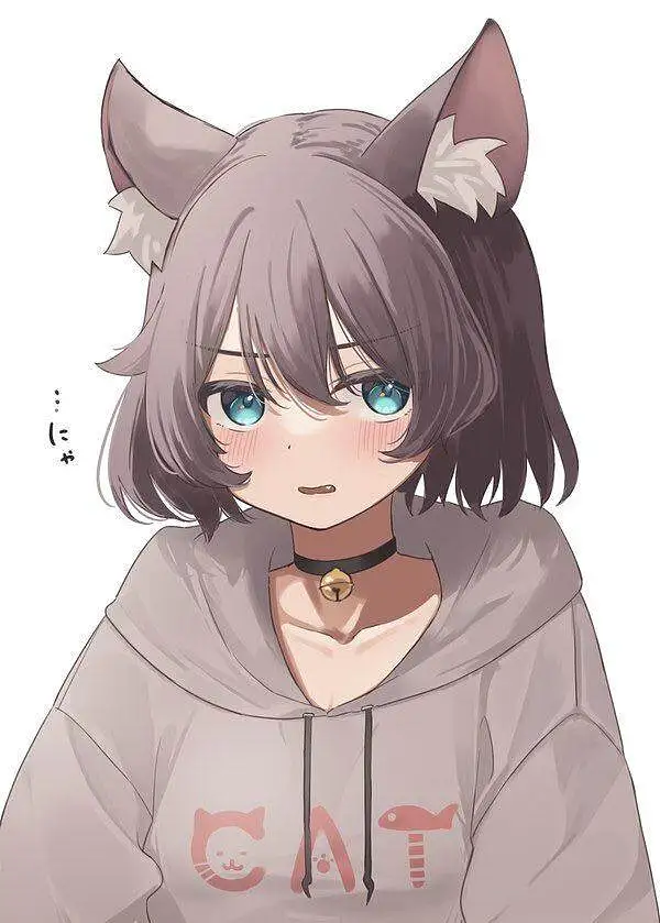 M站美图,美图,猫の日