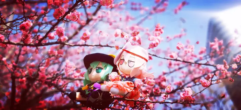 东方project,fumo