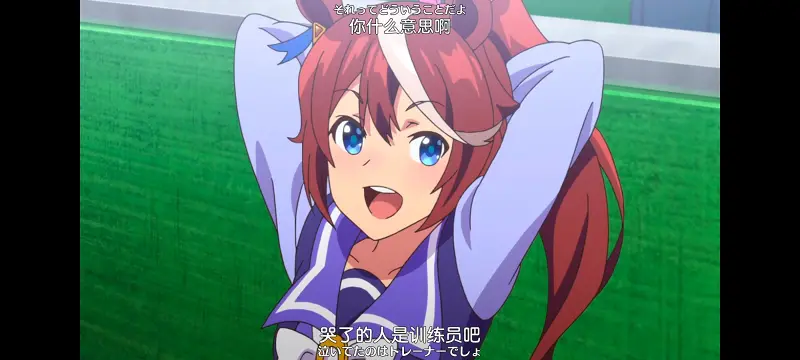 赛马娘,赛马娘PrettyDreby,动画,动漫,番剧,ACG