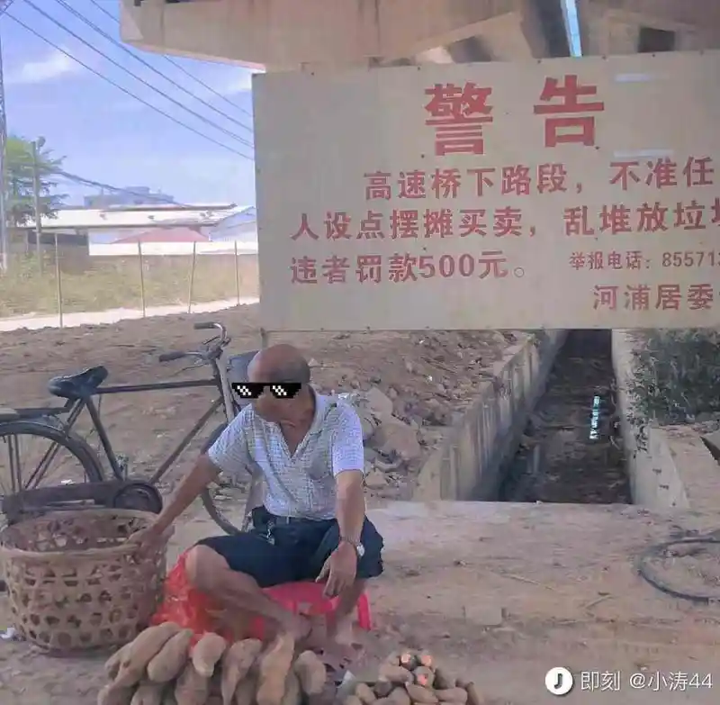 闲聊茶馆,图片,故意挑事