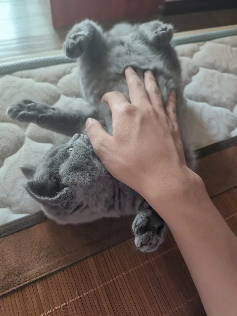 就算回来了