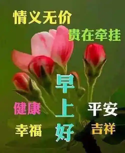 闲聊茶馆,早上好