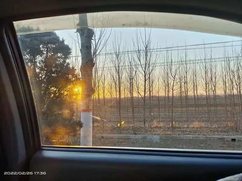 感觉自认为拍的不错的照片！